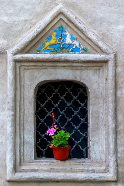 Antik kafes ile pencere pervazı tencere içinde sardunyalar — Stok fotoğraf