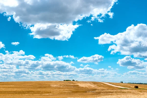 Campo amarelo e nuvens muito bonitas em um dia ensolarado — Fotografia de Stock