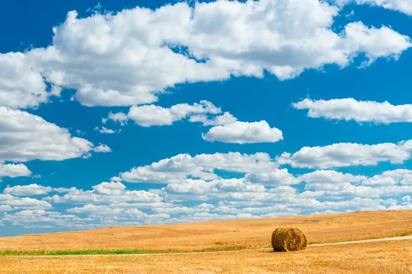 Vacker himmel över jordbruksmark på hösten efter skörden — Stockfoto