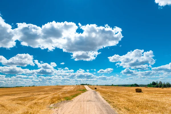 Cenário magnífico belo campo amarelo e nuvens cumulus — Fotografia de Stock