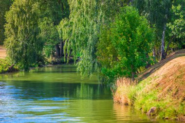 nehir dar ve güneşli bir günde yeşil bulmak kolay