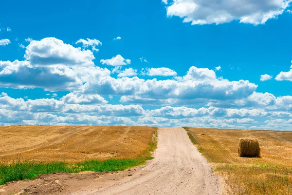 Buğday altın renkli eğimli alanda tozlu yol — Stok fotoğraf