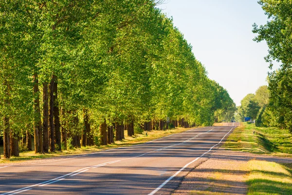 Bela paisagem. Estrada automóvel vazio e árvores verdes — Fotografia de Stock