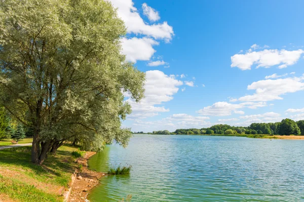 Krásné letní krajina - rybník a stromy na břehu na su — Stock fotografie