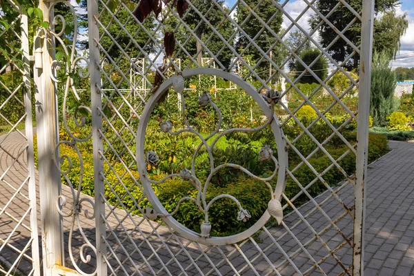 Twer Region Twer Strahlender Sommertag Stadtgarten Schöne Rosen Stadtgarten Schmiedeeiserner — Stockfoto