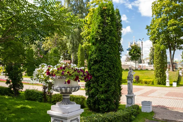 Tver Região Tver Dia Verão Brilhante Jardim Cidade Petúnias Luxo — Fotografia de Stock