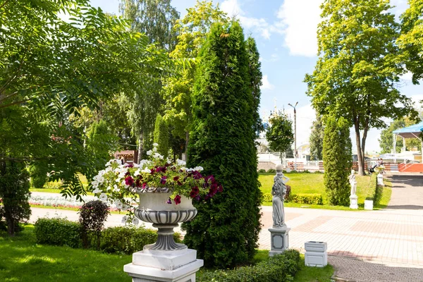 Tver Tver Régió Fényes Nyári Nap Városi Kertben Luxus Petúnia — Stock Fotó