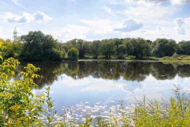 Tver; Tver bölgesi. Tmaka nehri üzerindeki peyzaj parkı. Nehirdeki ağaçların yansıması. Güneşli yaz günü