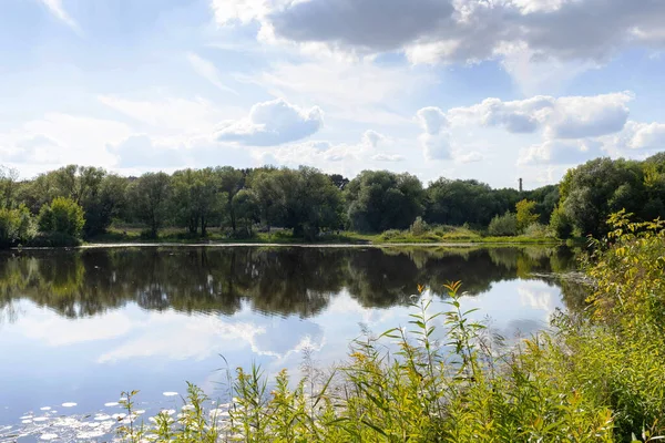 Tver; Tver bölgesi. Tmaka nehri üzerindeki peyzaj parkı. Nehirdeki ağaçların yansıması. Güneşli yaz günü