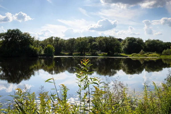 Tver Tver地域 田中川沿いの景観公園 川の木々の反射 夏の晴れた日 ストック画像