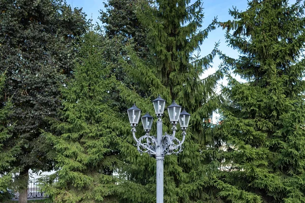 Kostroma Zomer Dag Prachtige Lantaarns Achtergrond Van Dennenbomen Vijf Bundel — Stockfoto