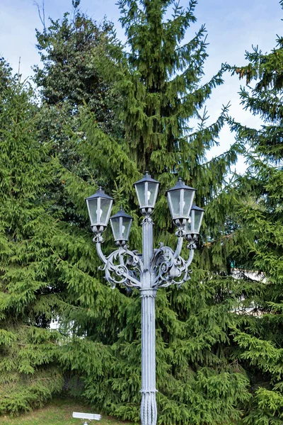 Kostroma Sommertag Schöne Laternen Auf Dem Hintergrund Von Tannen Fünfstrahlende — Stockfoto