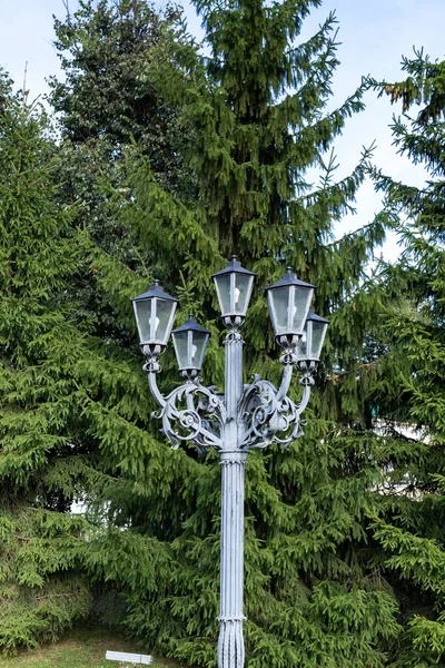 Kostroma Día Verano Hermosas Linternas Fondo Los Abetos Linterna Forjada —  Fotos de Stock