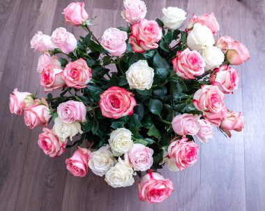 Makro. Rose yakın plan. Bulanık arkaplanda pembe ve beyaz çiçekler.