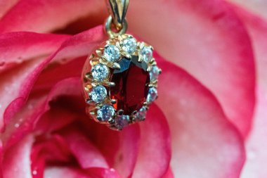 Açık pembe gül ve mavi kadifede altın mücevher. Su damlaları yaprakların üzerine düşer.