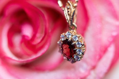 Açık pembe gül ve mavi kadifede altın mücevher. Su damlaları yaprakların üzerine düşer.