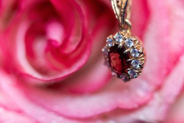 Açık pembe gül ve mavi kadifede altın mücevher. Su damlaları yaprakların üzerine düşer.