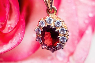 Açık pembe gül ve mavi kadifede altın mücevher. Su damlaları yaprakların üzerine düşer.