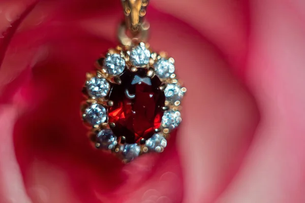 Light pink rose with the gold jewel on blue velvet. water drops on the petals