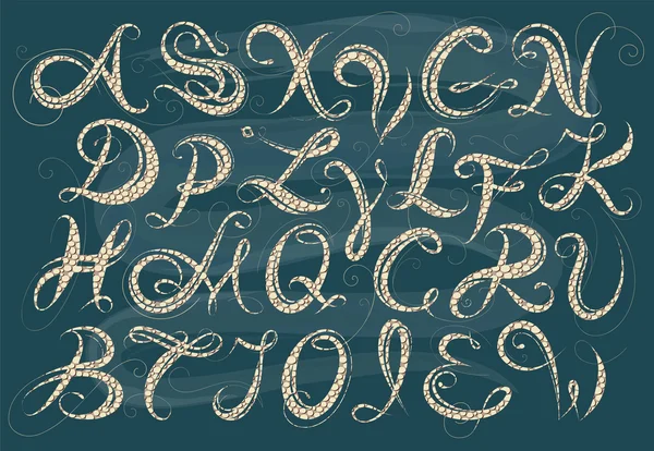 Kalligrafi alfabetet — Stock vektor
