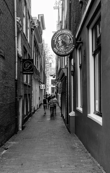 Amsterdam Nizozemsko Června2021 Red Light District Sex Shop Facade — Stock fotografie