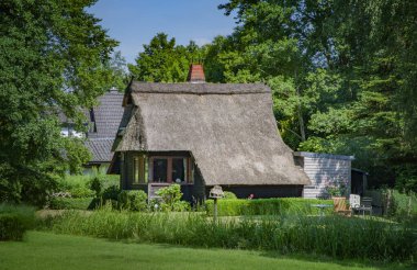 BOHMTE, ALMANLIK. 27 Haziran 2021 Dammer Doğal Parkı. Ormandaki güzel etnik ahşap ev, yeşil çayır..