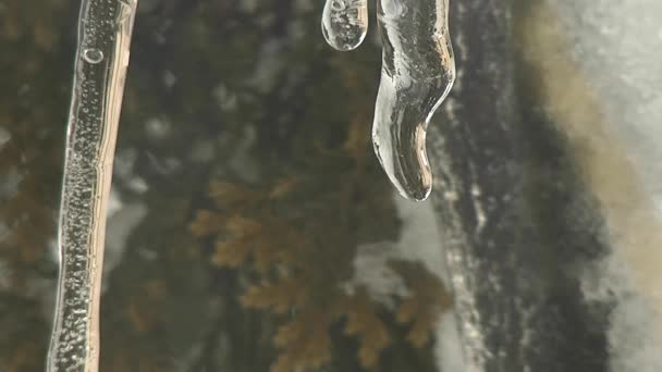 Gouttes d'eau sur les glaçons . — Video