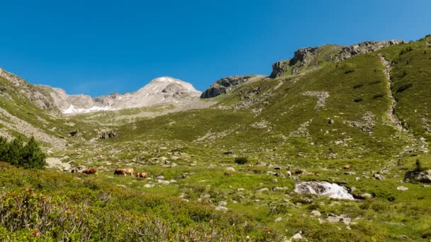 Waktu Lapse dari Lembah Friesenberghaus Austria — Stok Video