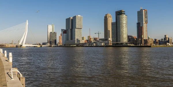 Rotterdam Wilhelminapier brug en oevers — Stockfoto