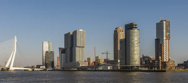 Rotterdam Wilhelminapier dag med Bridge Stockbild