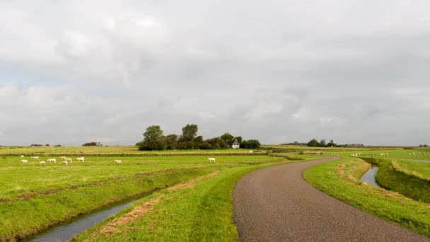 Tijd verval van boerderij in Oudeschild op het eiland Texel — Stockvideo