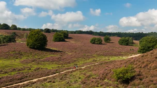 Time lapse of a morning at the Posbank in Rheden with hikers. — Stock Video