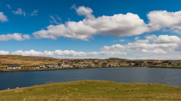 El lapso de tiempo del paisaje escocés con ovejas — Vídeos de Stock
