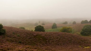 Rheden Posbank de zaman atlamalı sabah sis