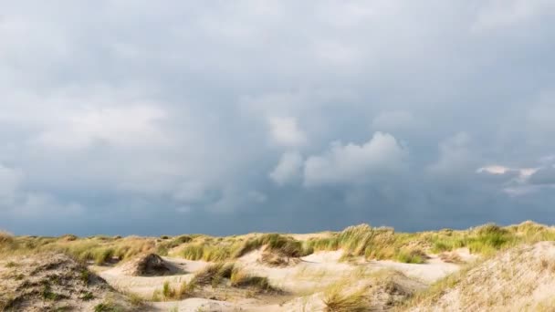 Texel'de kum ullarının ve bulutların zaman atlamalı — Stok video