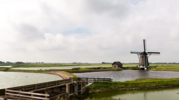 Time-lapse van molen Texel — Stockvideo