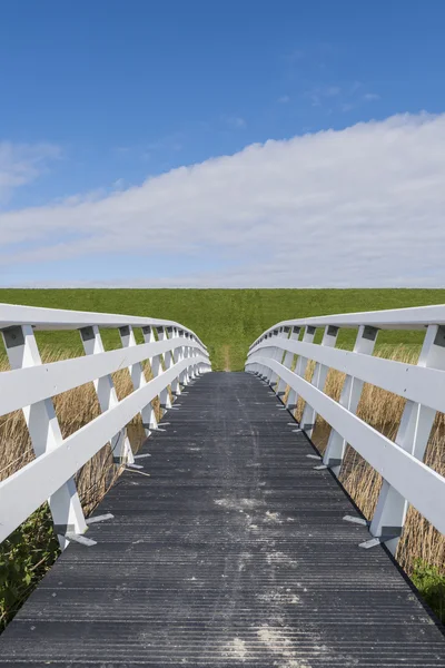 Wandelaars brug in Friesland — Stockfoto