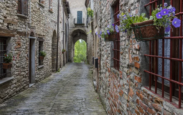 Gatan med blommor i Mombaldone Piemonte — Stockfoto