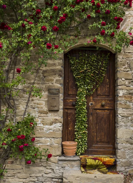 Старі дерев'яні і криві двері — стокове фото