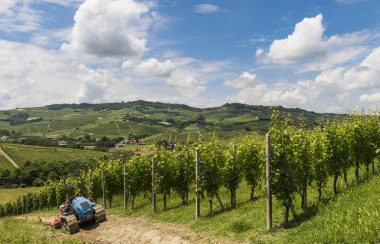 Barbaresco, Garbelletto Piedmont bağlar 