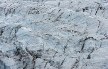 Skaftafellsjokull Buzulu, İzlanda'daki buz blokları