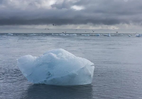 Bloco de gelo na praia, Islândia — Fotografia de Stock