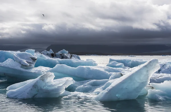 Mnoho bloků ledu na Jokulsarlon jezero, Island — Stock fotografie