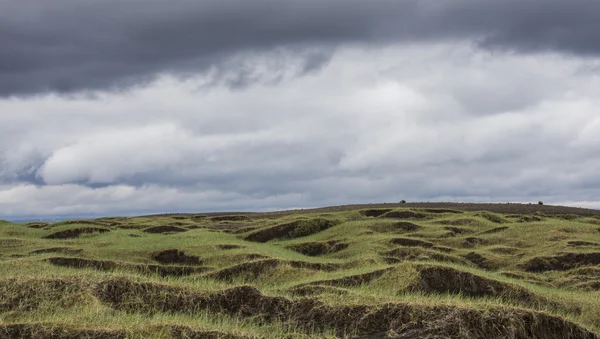 Black and Green Volcanic Landscape Iceland — Stock Photo, Image