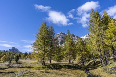 İtalya, Dolomitler 'deki Falzarego Geçidi' nde tarla ağaçlarıyla dolu küçük bir dere..