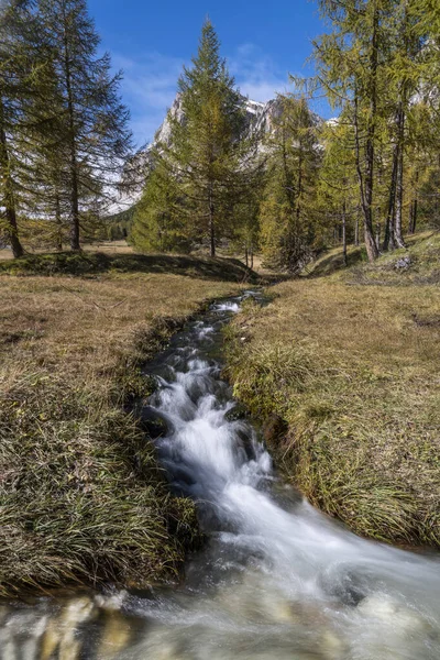 Petit Ruisseau Autum Avec Mélèzes Col Falzarego Dans Les Dolomites — Photo