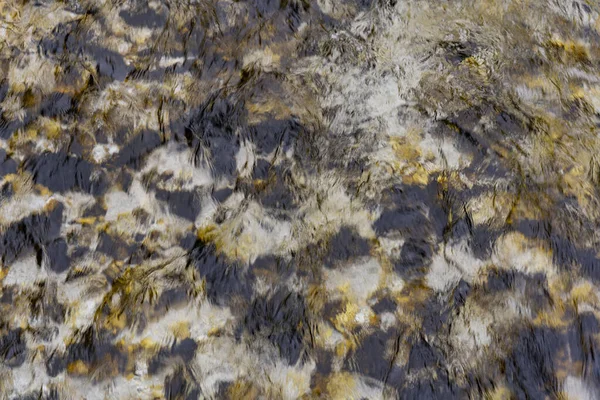 古い葉の黒と黄色の斑点のあるアルプスに流れる水の流れ — ストック写真