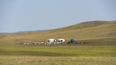 Baruuntunuun, Moğolistan - 8 Ağustos 2019: Moğolistan bozkırında iki yurdu, arabası ve atı olan göçebe yaşam.