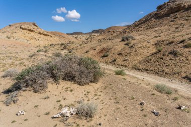 Renkli bozkır ve sle ile çöl; at, tepeler ve Moğolistan dağlar.