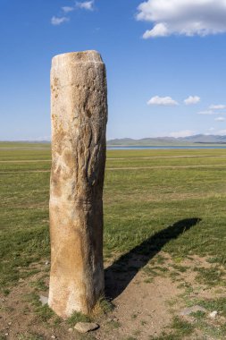 Geyik, Songino yakınlarındaki Moğolistan bozkırında duruyor..